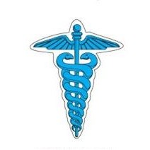 Caduceus Lapel Pin