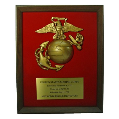 Marine Globe Shadow Frame Award