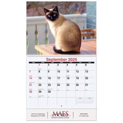 Furever Friends Monthly Wall Calendar w/Coil Binding (10 5/8"x18¼")