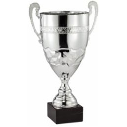 22" Assembled Italian Cup Award