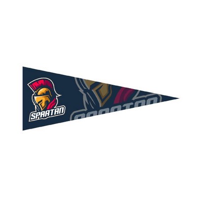 4" x 10" Full Color Felt Pennant Flag Banner