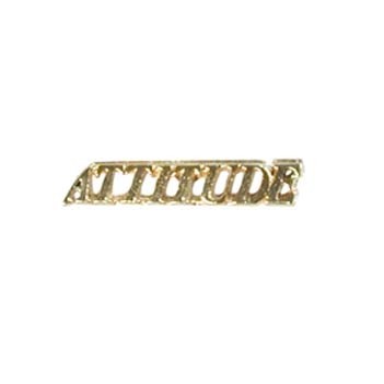 Attitude Cut Out Cast Stock Jewelry Pin