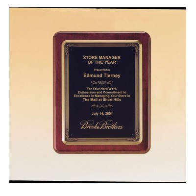 Airflyte Premium Series Plaque w/ Antique Bronze Metal Frame Casting (10 1/2"x13")