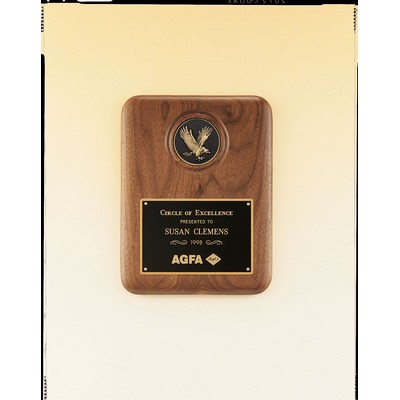 American Eagle Series Plaque w/ Eagle Medallion (8"x10 1/2")