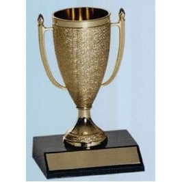 6" Loving Cup Motion Graphic Trophy