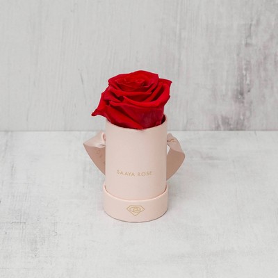 Single Real Rose-Preserved Roses that last 365 + days