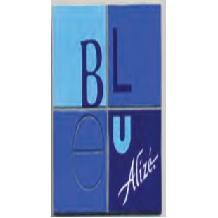 Custom Interior Nameplate w/Adhesive (10 to 16.9 Square Inches) (Other Colors)