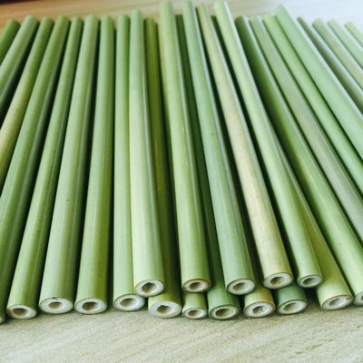 Bamboo Drinking Straws - Reusable & Organic