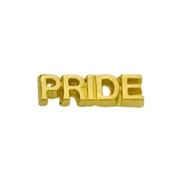 Pride Cut Out Cast Stock Jewelry Pin