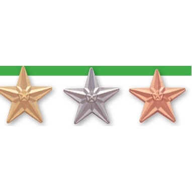 ¾" 3D Star Die Struck Polished Pin