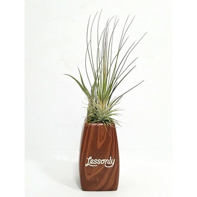 5" Woodgrain Elegant Vase with Air Plants