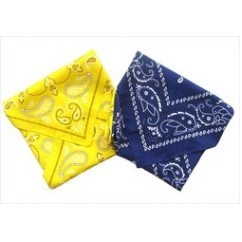 Cotton Bandannas