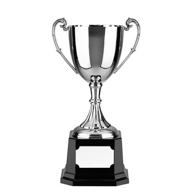 8.5" Swatkins Endurance Nickel Plated Award Cup