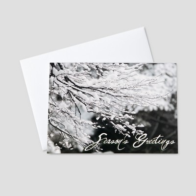 Snow-Laden Branches Holiday Greeting Card