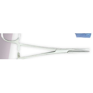 5 1/2" Straight Kelly Forceps