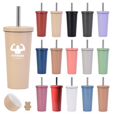 Double Wall Straw Insulated Stainless Steel Tumbler with Lid