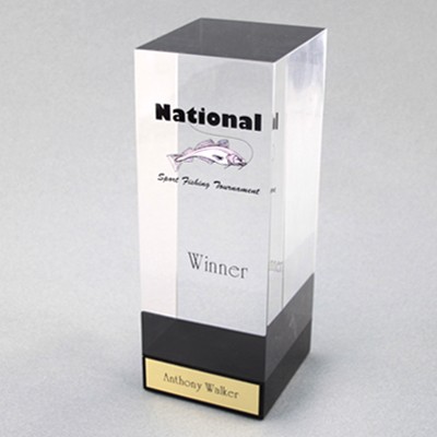 Acrylic Cube 3 Award (3-1/2"x 6"x 3-1/2")