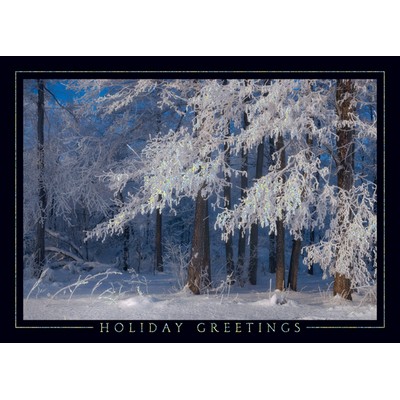 Snowy Forest Scene Holiday Greetings Card