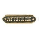 Attitude Stock Die Struck Pin