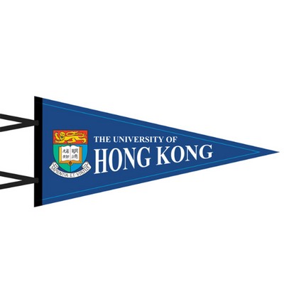 Felt Strip Pennant