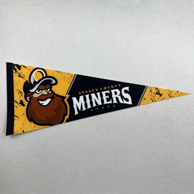 Felt Pennant 8" x 18"