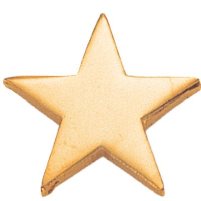 ¾" Flat Star Pin