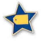 Star Color Filled Die Struck Lapel Pin (3/4"x3/4")