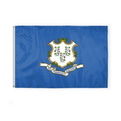 Connecticut Flags 4x6 foot