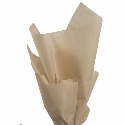 Taupe Tissue Paper (20"x30") (480 Sheets)