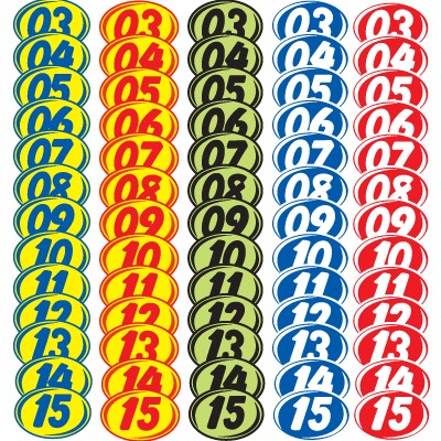 White & Blue Bold Year Model Decals (Set of 12)