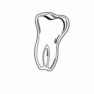 Magnet - Molar/Tooth - Full Color