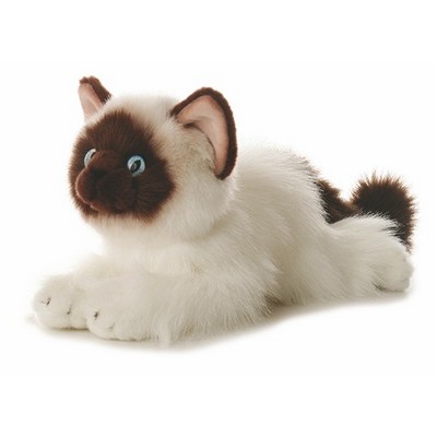 12" Bella Siamese Cat Flopsie Stuffed Animal