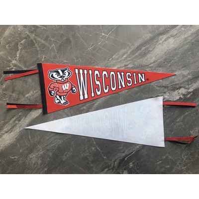 Custom Felt Flag (9" x 24")