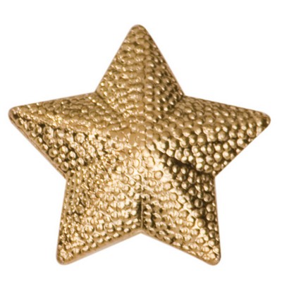 Chenille Insignia Pin - "Star"