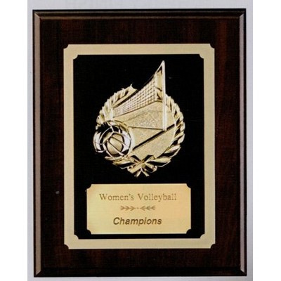 Cherry Finish Volleyball Plaque (9" x 12")