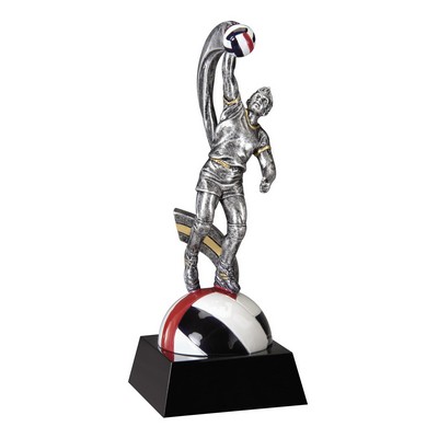 Motion X Figure - Volleyball (Male) Award