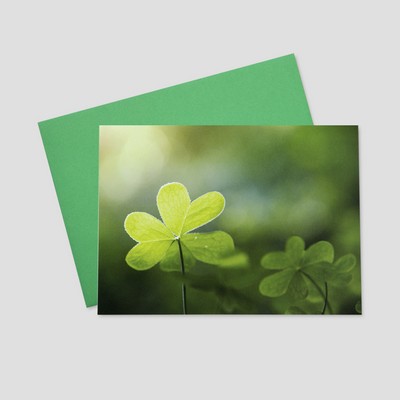 Shining Shamrock St. Patrick's Day Greeting Card