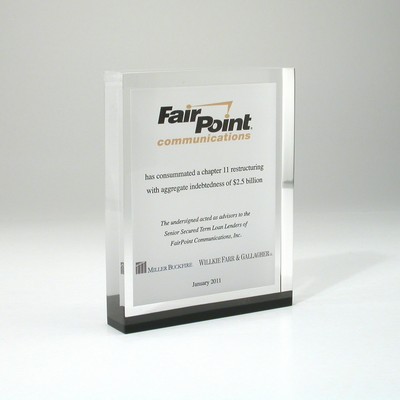 Flat Rectangle Lucite® Embedment Award (3 3/4" x 4 3/4" x 3/4")