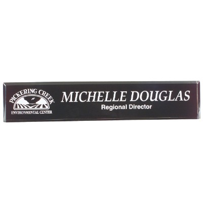 Black Acrylic Desk Wedge (10"x2")