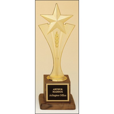 Star Riser Casting Award 10"H