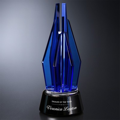 Vector Indigo Award 11"