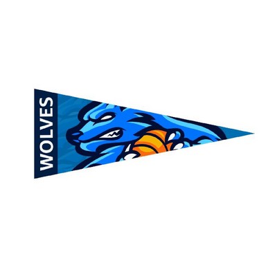 9" x 24" Full Color Felt Pennant Flag Banner