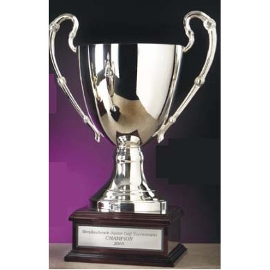 Large Silver Plated Aluminum Champions Cup Award