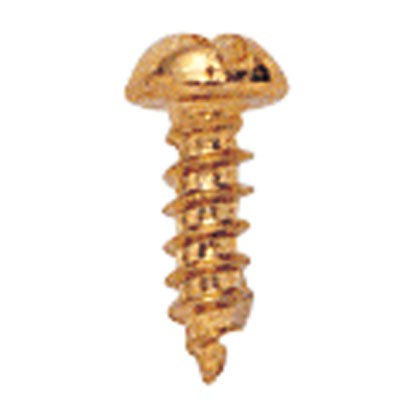 ¼"#2 Brass Screws