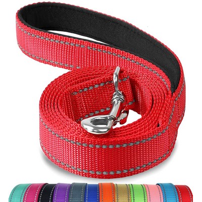 Padded Handle Nylon Dog Leashes For Walking Small Dog