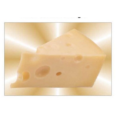 Cheese Rectangle Metal Photo Magnet (2"x3")