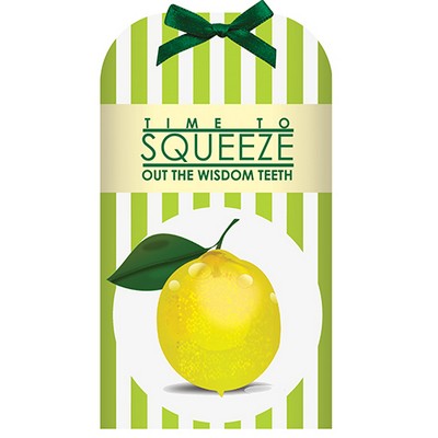 Stylish Drink Packet - Single Serve Lemonade Mix (8 Fluid Oz.)