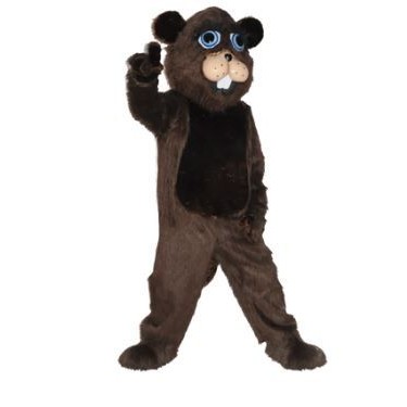 Baby Bear Mascot Costume