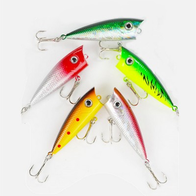 Fish Face Popper Lure