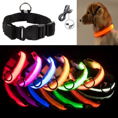 USB Rechargeable Light Up Dog Collar